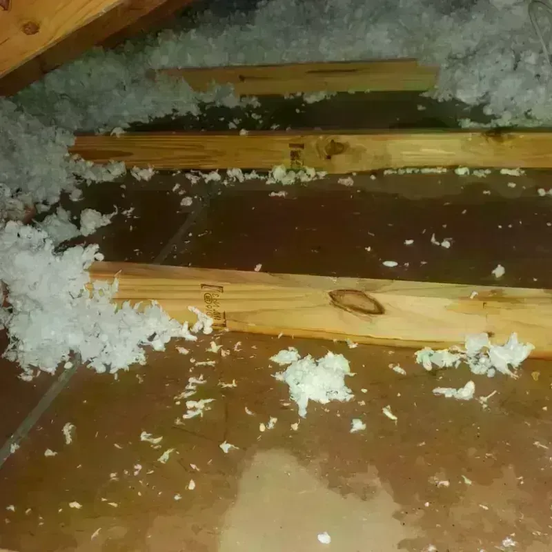 Attic Water Damage in Toast, NC