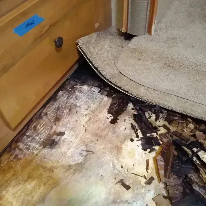 Wood Floor Water Damage in Toast, NC